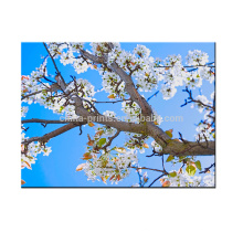 Printemps Pear Tree Canvas Décoration intérieure Peinture Toile Peinture étirée Estampe sur toile